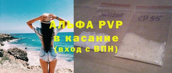 индика Дмитриев