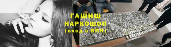 индика Дмитриев