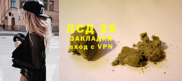 стафф Елизово