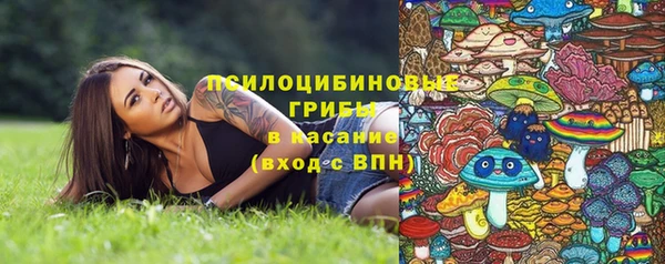 дмт Дмитровск