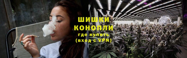 стафф Елизово