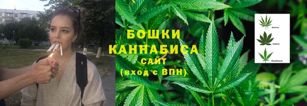 амф Няндома