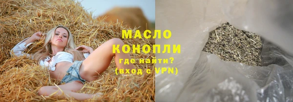 индика Дмитриев